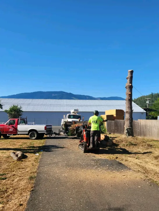 Tree Pruning 1